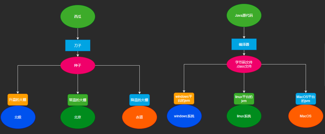 image-20210107211001283