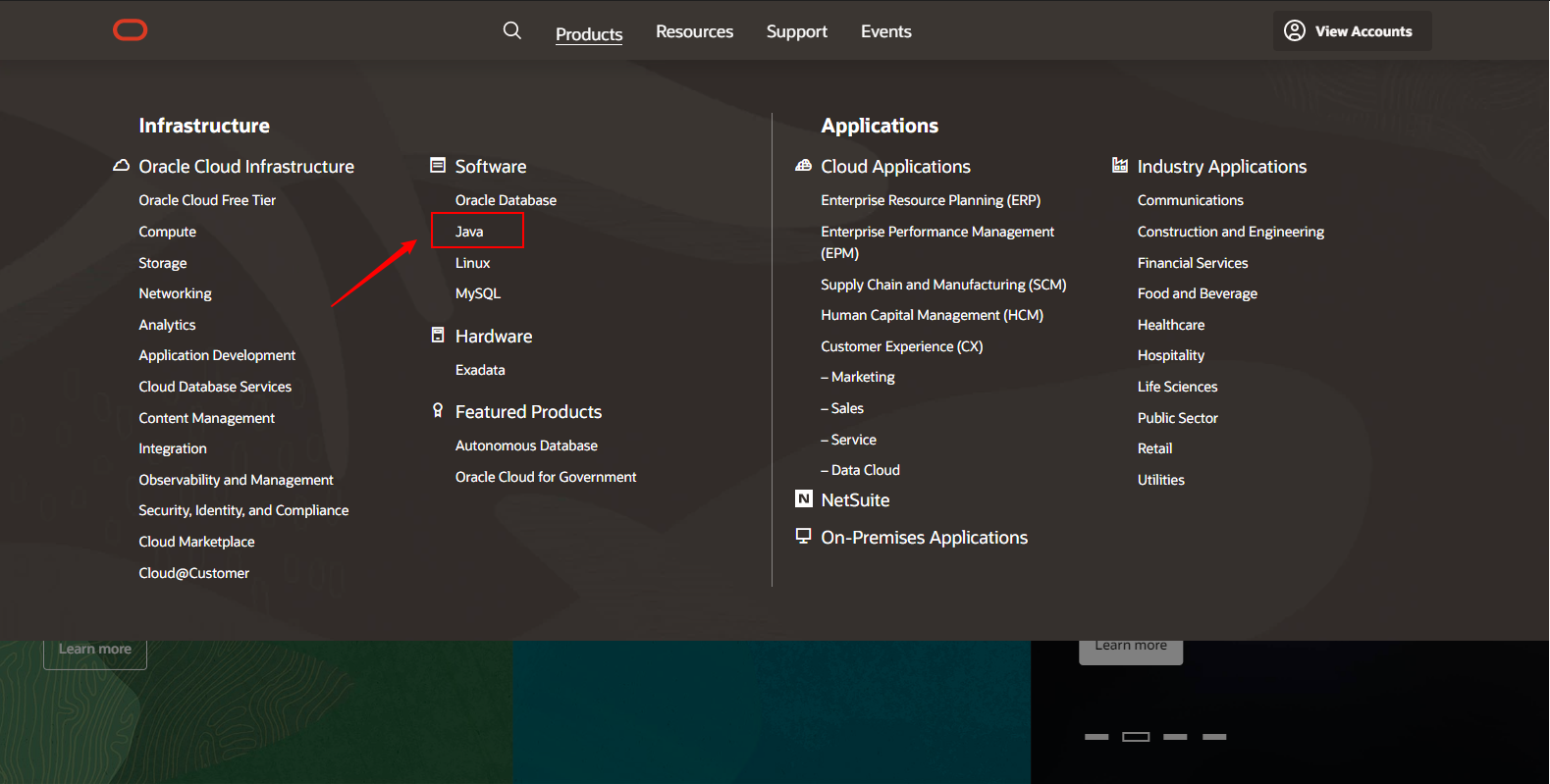 image-20210111143339434